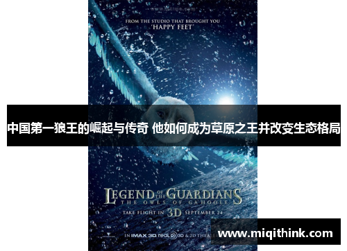 中国第一狼王的崛起与传奇 他如何成为草原之王并改变生态格局