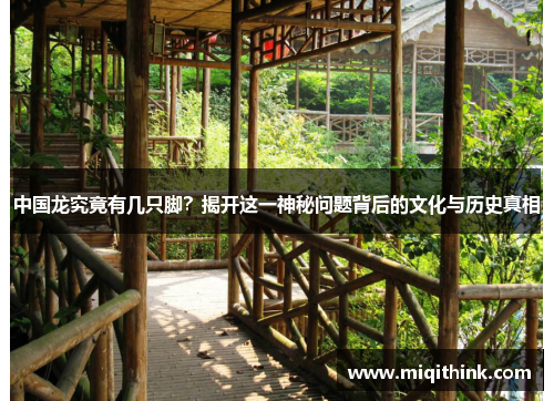 中国龙究竟有几只脚？揭开这一神秘问题背后的文化与历史真相